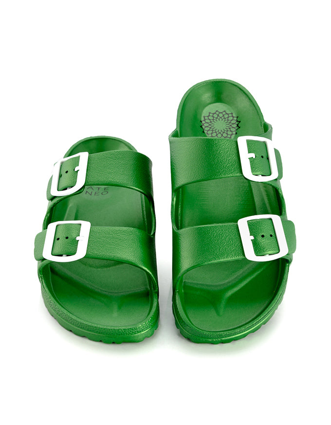 APPOLO Slides Green