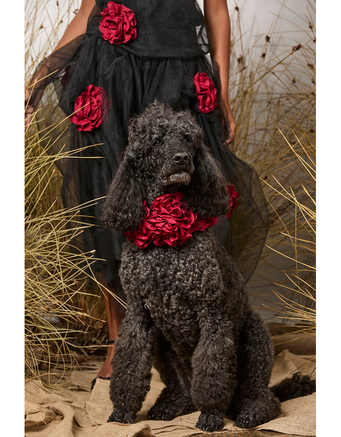 Eternal Love Skirt Black/Red Roses