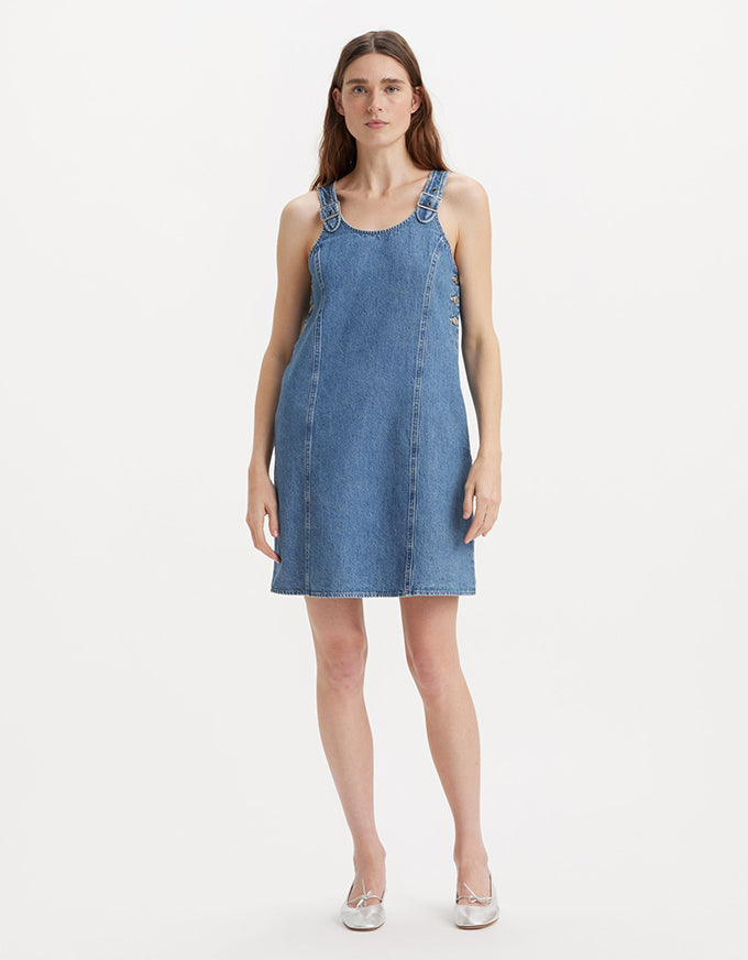 Aly Denim Dress Cause and Effect