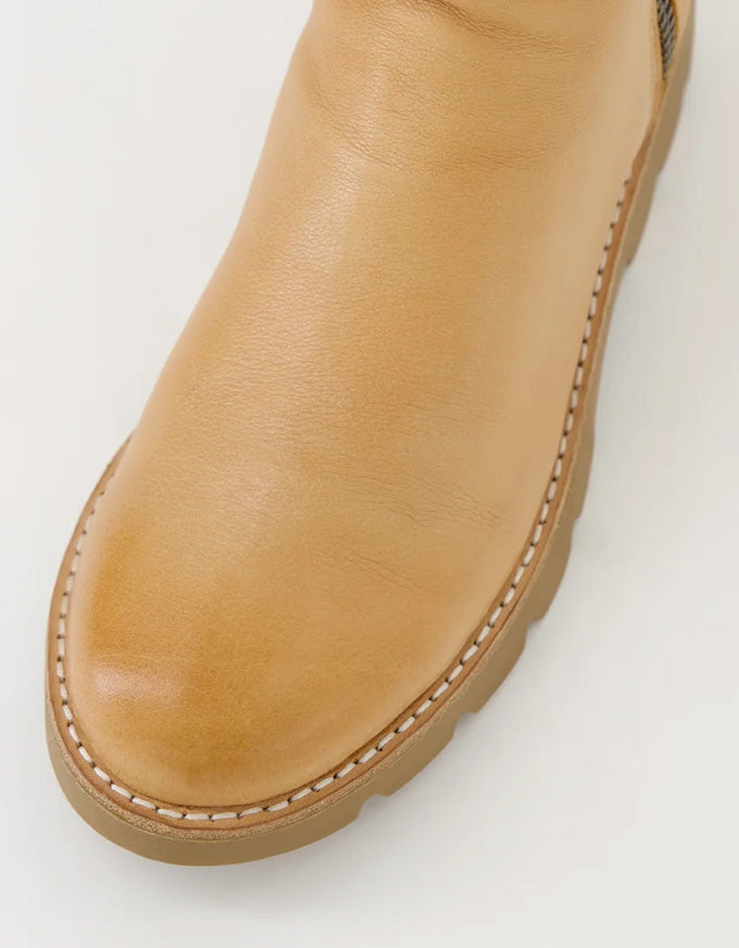 Dixeya Dark Tan/Light Choc Ankle Boots