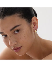Liora Stud Earrings Yellow Gold
