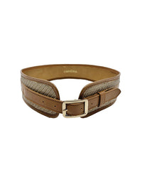 Brown belt with a gold buckle on a white background