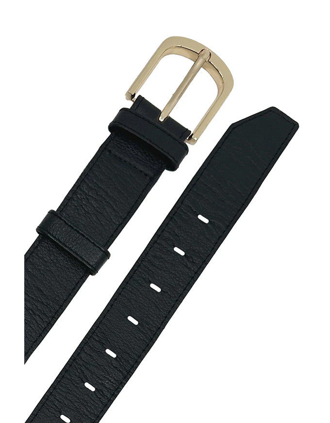 Black belt with gold buckle on a white background