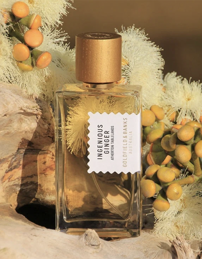 Ingenious Ginger - 100ml