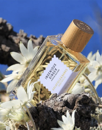 Ingenious Ginger - 100ml