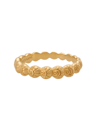 Soul Protector Ring 18KT YGP