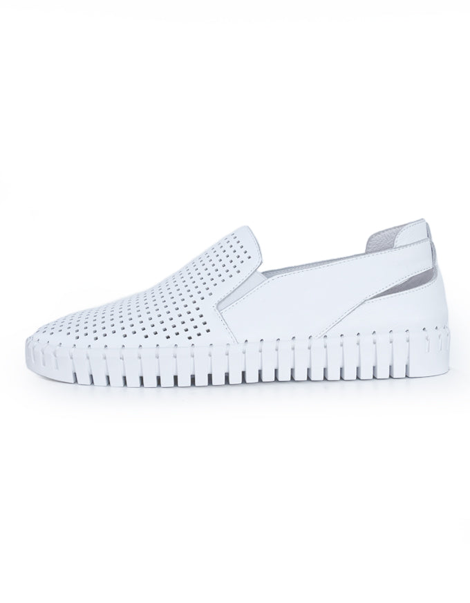 Howie Sneaker White/White