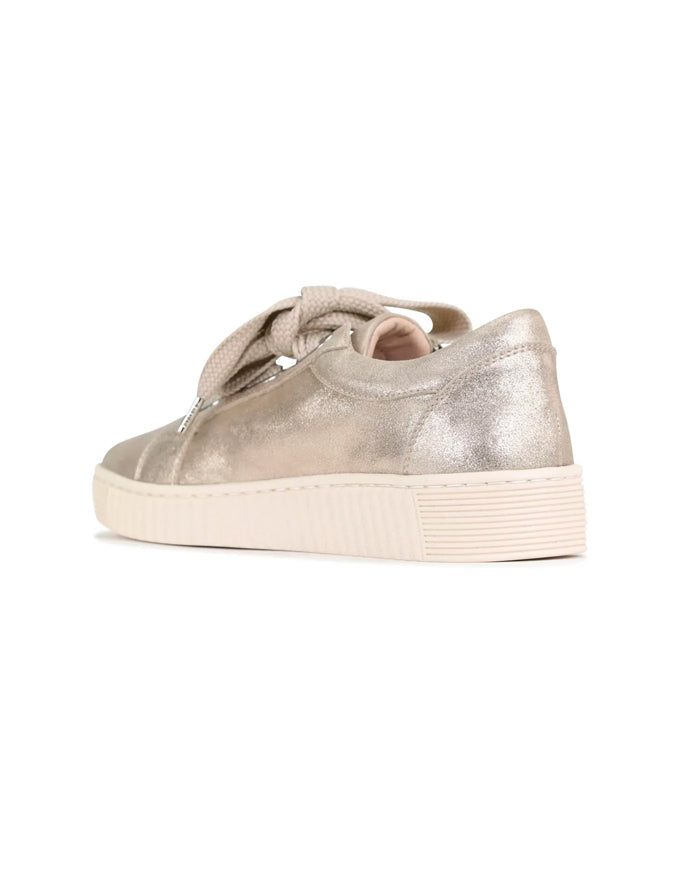 Jovi Sneaker in Champagne Jovi Sneaker in Champagne