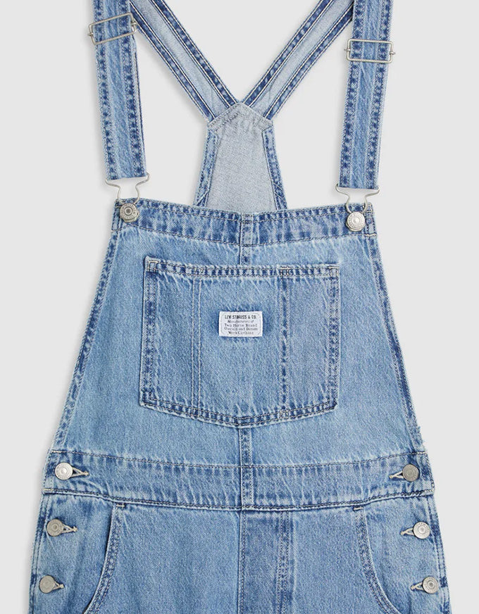 Vintage Overall Chill Day