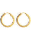 Radiance Hoop Earring Gold